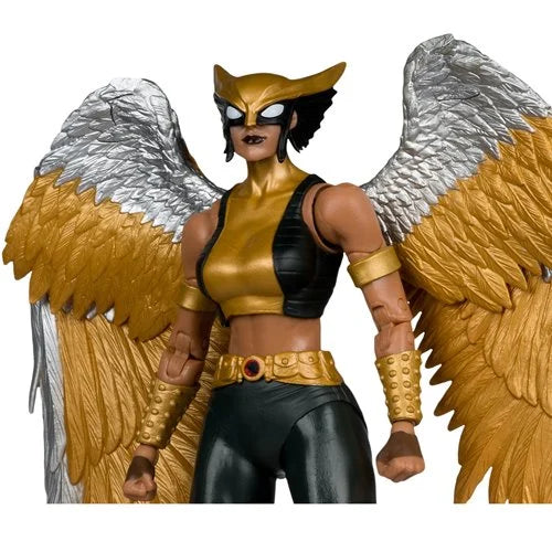 DC McFarlane Collector Edition Wave 15 Hawkgirl Kendra Saunders #63 7-Inch Scale Action Figure